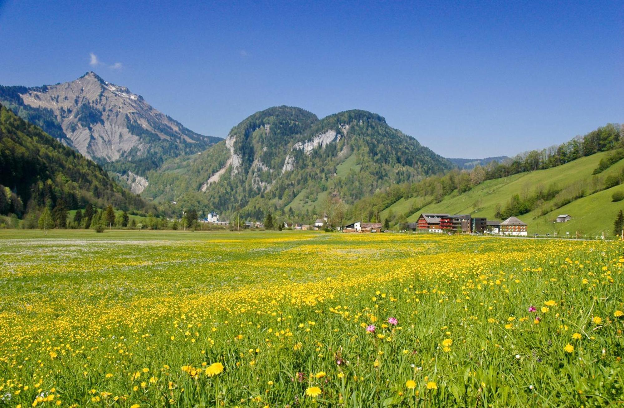 Gesundhotel Bad Reuthe Kültér fotó